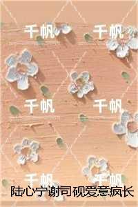 陆心宁谢司砚