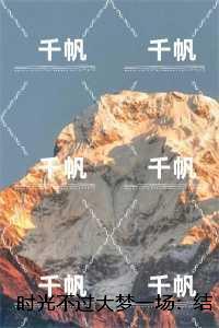 江时宜傅临川