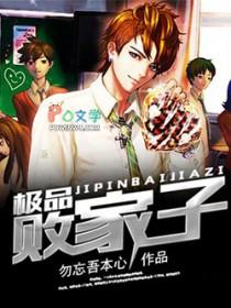 极品败家子
