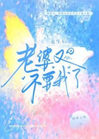 重生后，老婆又不要我了