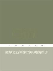 清穿之四爷家的纨绔嫡次子